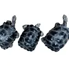 2024 Simulation turtle series Galapagos tortoise tortoise model