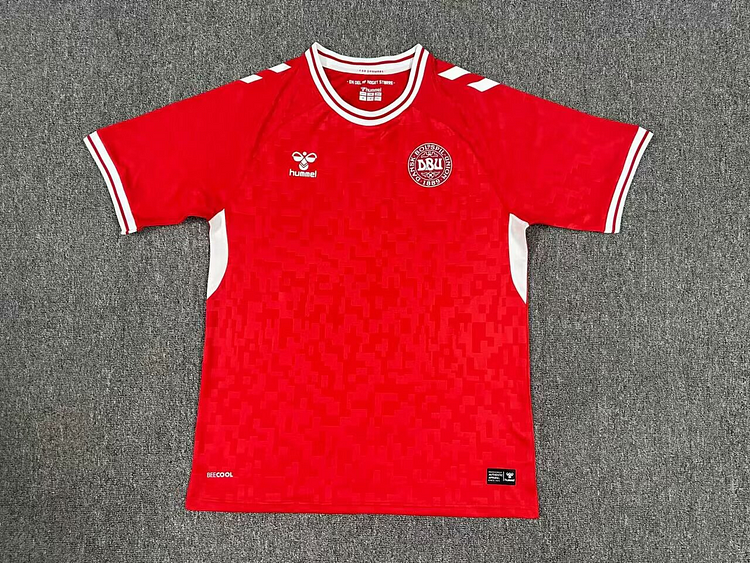 Denmark Home Kit 24/25 Euro Cup 2024 Football Jersey