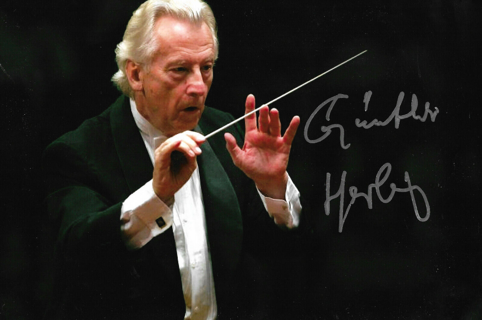 Günther Herbig Conductor signed 8x12 inch Photo Poster painting autograph