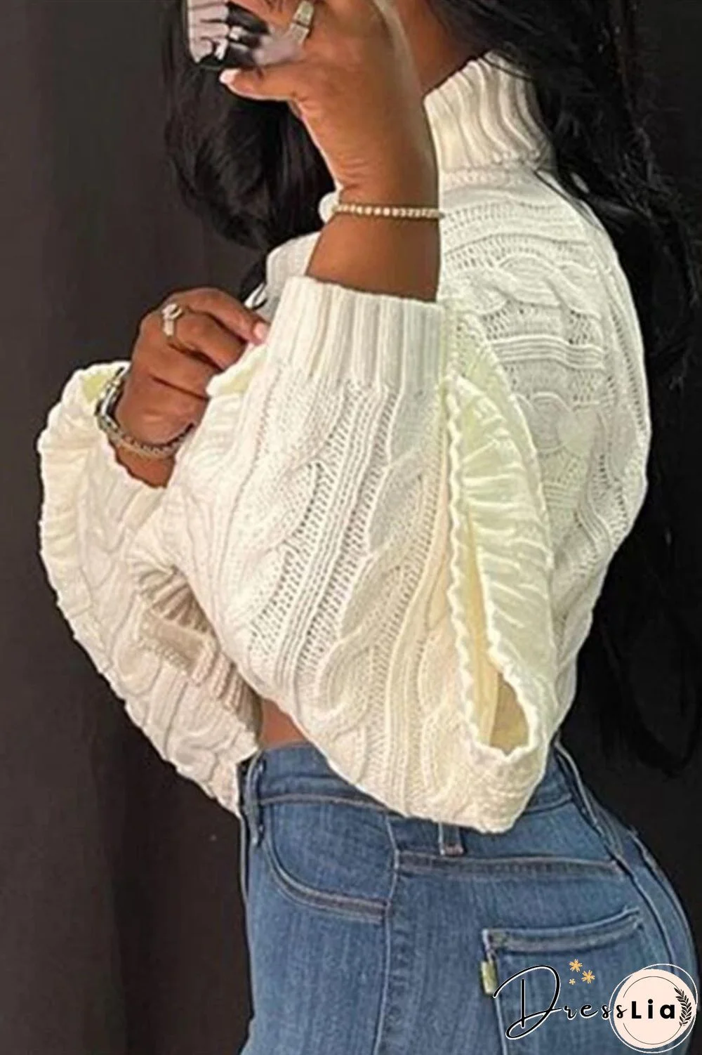Solid Color Turtleneck Bat Sleeve Sweater Crop Top
