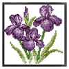 Flower Of Happiness - 14CT Stamped Cross Stitch 17*17cm/6.69*6.69in(Brand)