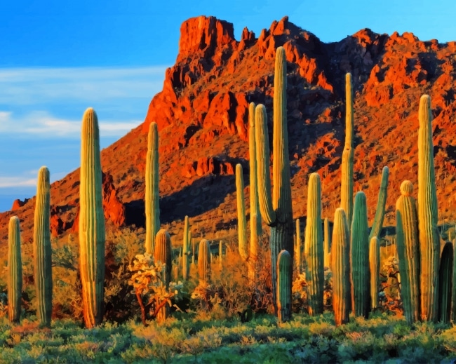 

Cactus Near Mountain – Paint By Numbers - 40*50CM, 501 Original