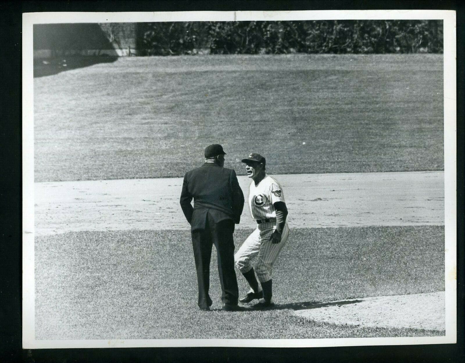 Leo Durocher & Umpire Al Barlick 1967 Press Photo Poster painting Chicago Cubs