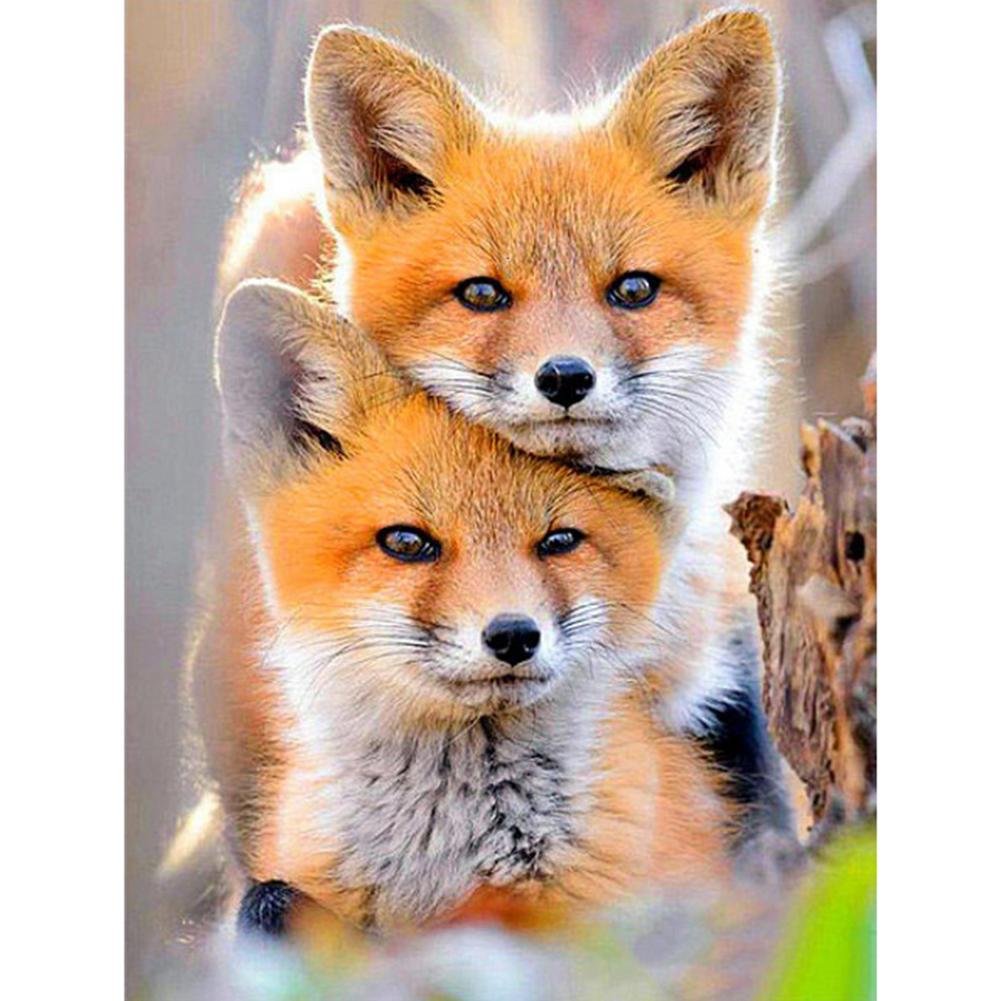 Full Round Diamond Painting - Cute Fox
