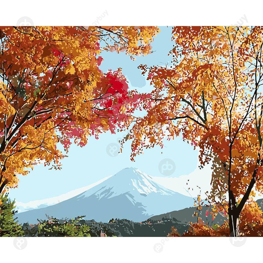 

40*50CM Paint By Numbers-Far Mountain, 501 Original