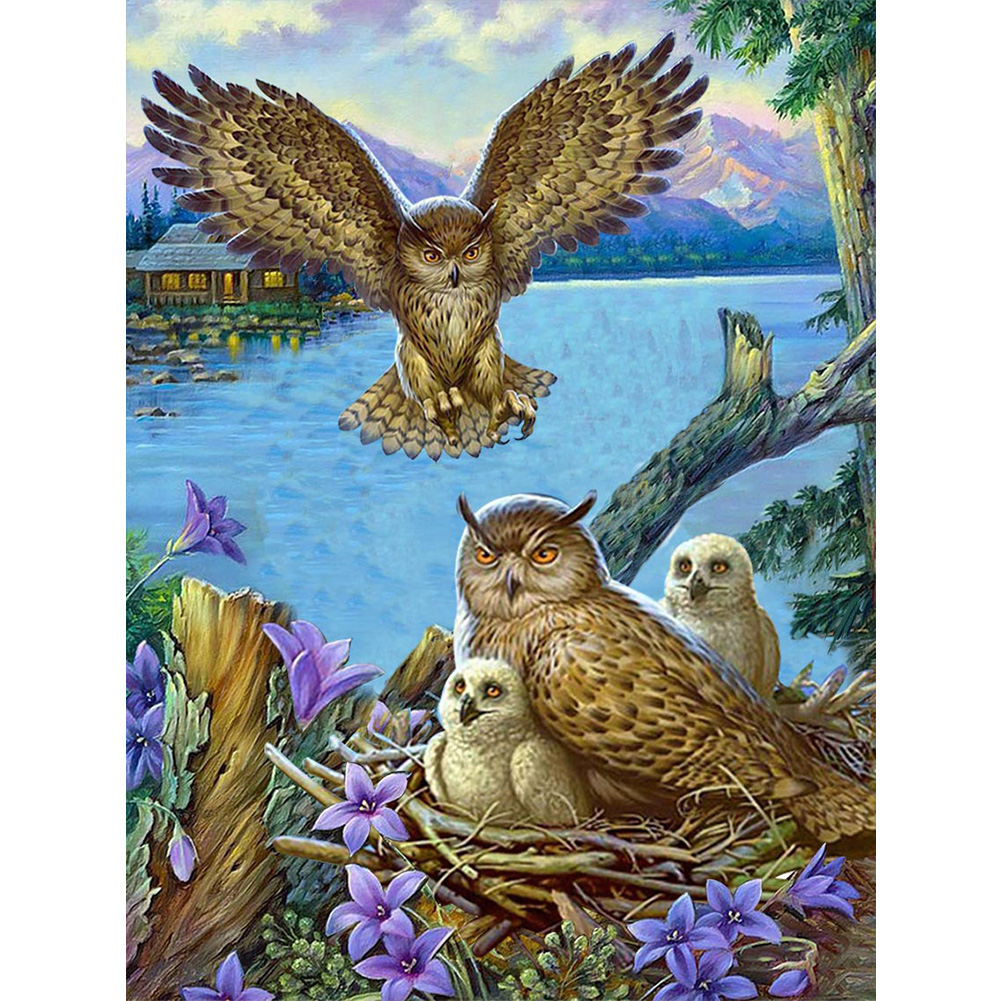 

(Multi-Size) Owl - Round/Square Drill Diamond Painting, Square diamond 30*40cm, 501 Original