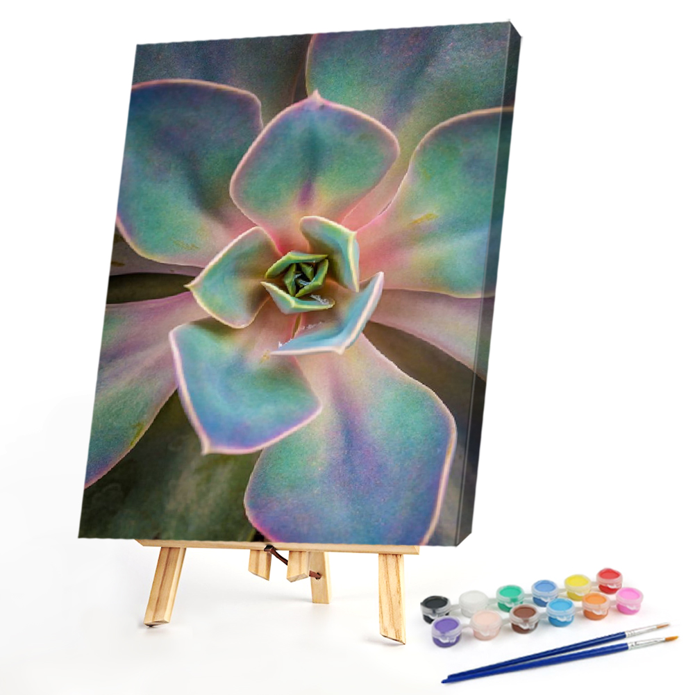 

40*50CM - Paint By Numbers - Succulent, 501 Original