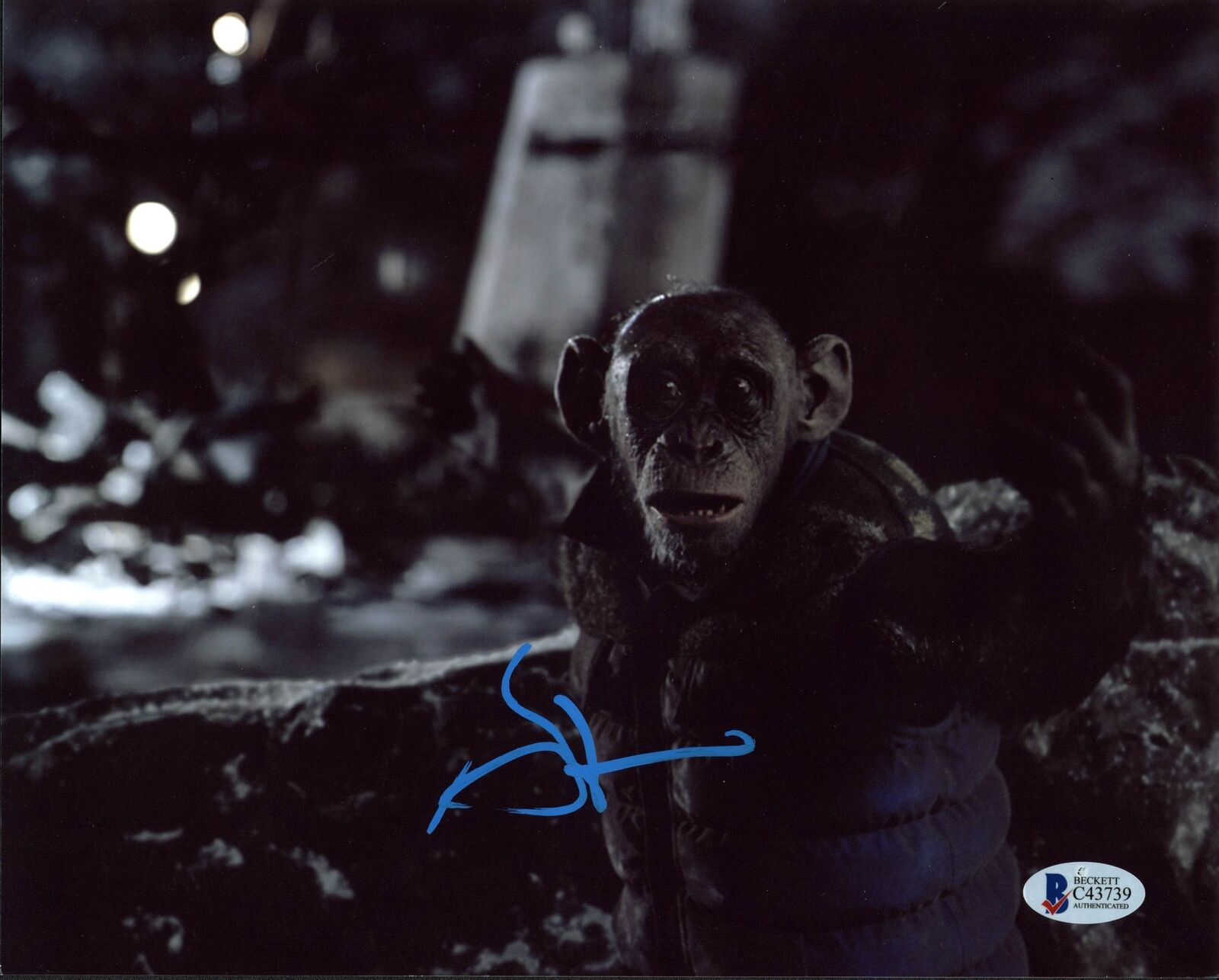 Steve Zahn Planet of the Apes Authentic Signed 8x10 Photo Poster painting BAS #C43739