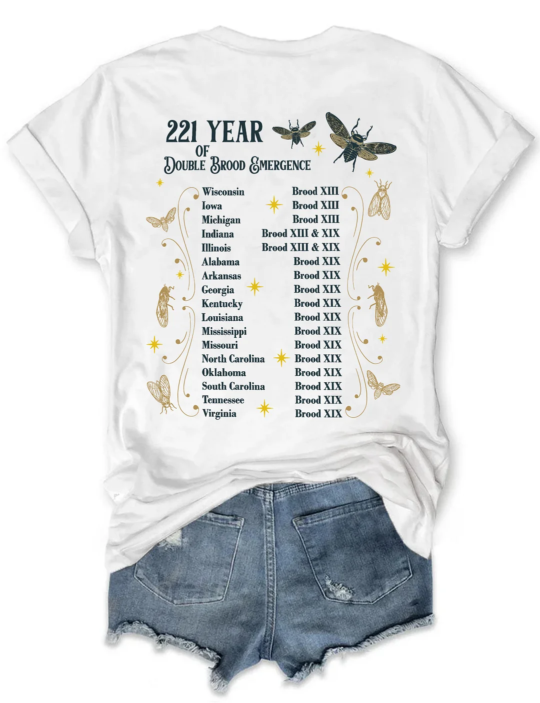 The Cicadas Reunion Tour Summer 2024 T-shirt