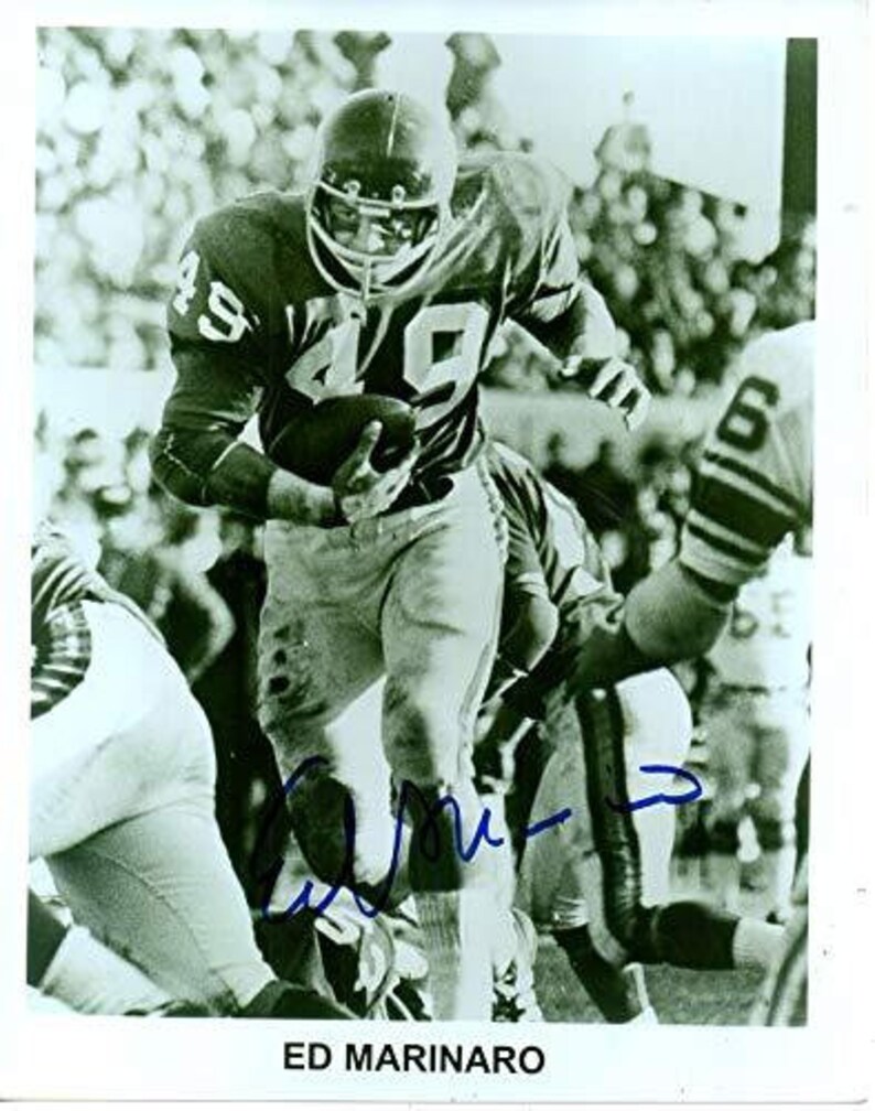 Ed Marinaro Signed Autographed Glossy 8x10 Photo Poster painting Minnesota Vikings - COA Matching Holograms