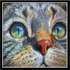 Cat  | Full Round Diamond Painting Kits