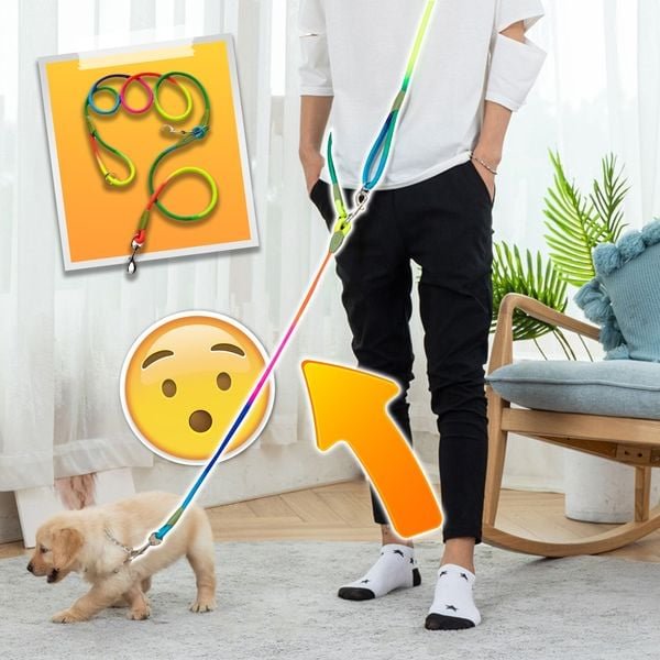 🎁Last Day 48% OFF - Hands Free Dog Leashes