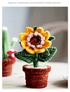 DIY Handmade Twist Stick Craft Small Potted Plants Chenille Stems Craft Pipe Cleaners Gift Decor Set
