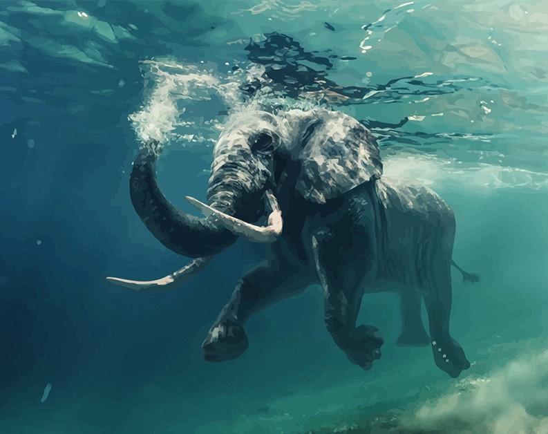 

Elephant Underwater – Paint By Numbers - 40*50CM, 501 Original