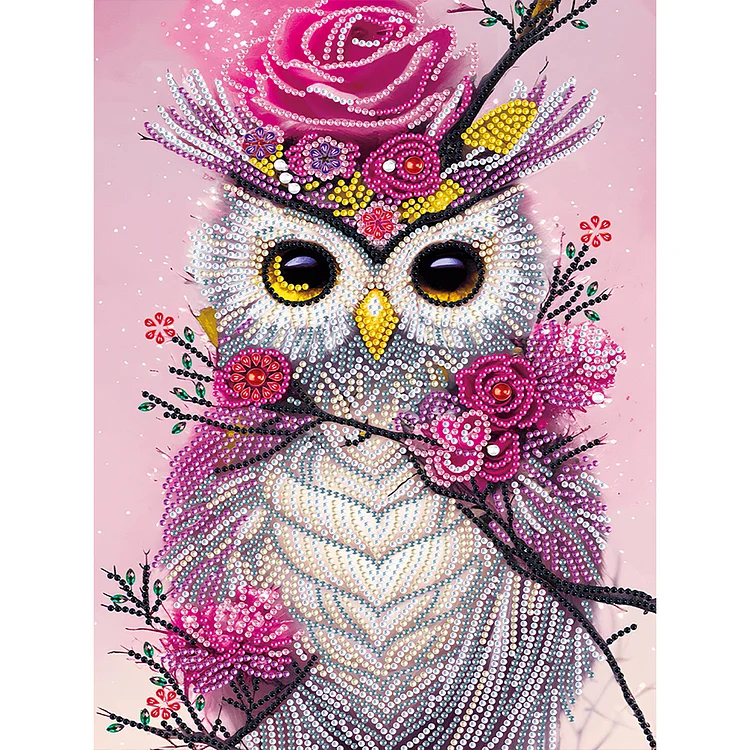 Partial Special-Shaped Diamond Painting - Owl 30*40CM