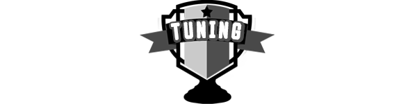 tuningchampionrings