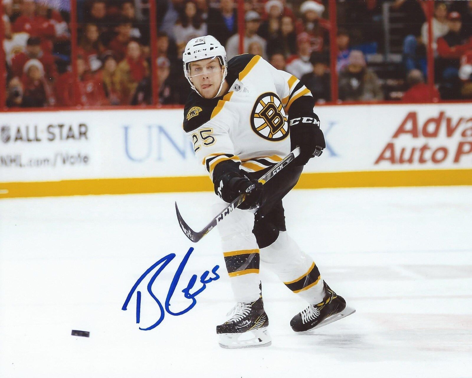 Brandon Carlo Signed 8x10 Photo Poster painting Boston Bruins Autographed COA B