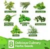 Variety Herb Seed Garden Grow Kit Indoor and Outdoor Herb Seed & Tools Starter Kit Sets