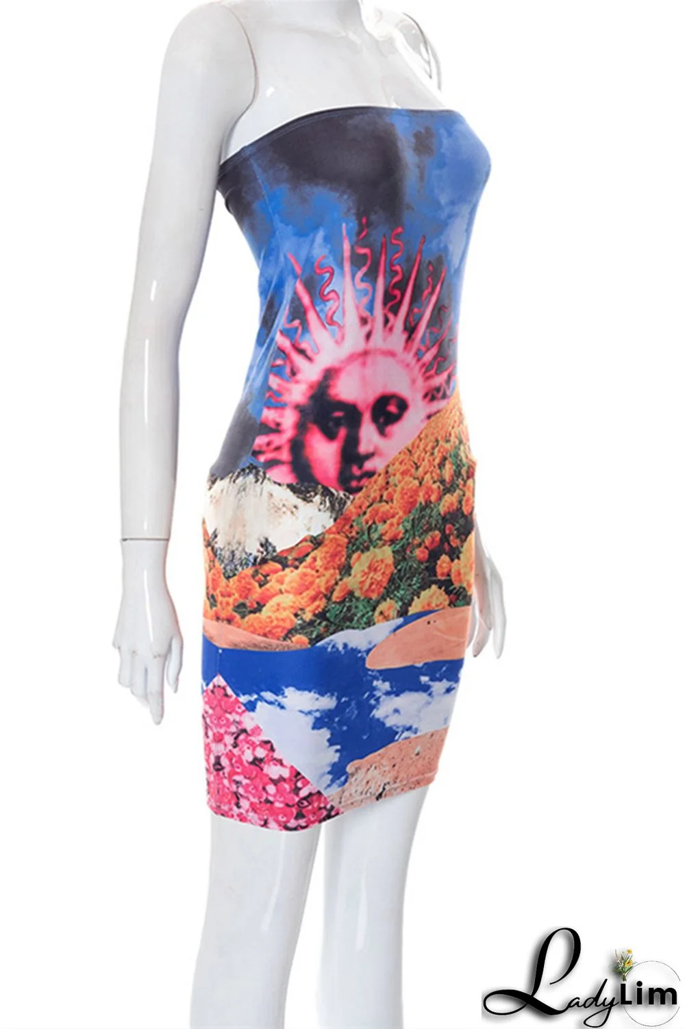 Multicolor Fashion Sexy Print Backless Strapless Sleeveless Dress