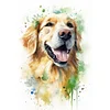(Multi-Style) Dog-11CT Stamped Cross Stitch 40*40/40*60cm
