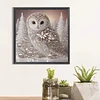 Pearl Snow Owl-Special Shaped Diamond Painting