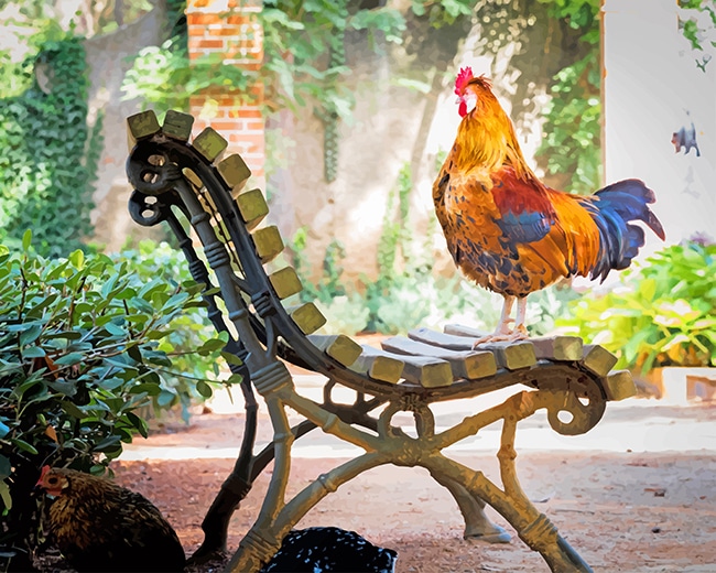 

Orange Rooster On Brown Wooden Bench – Paint By Numbers - 40*50CM, 501 Original