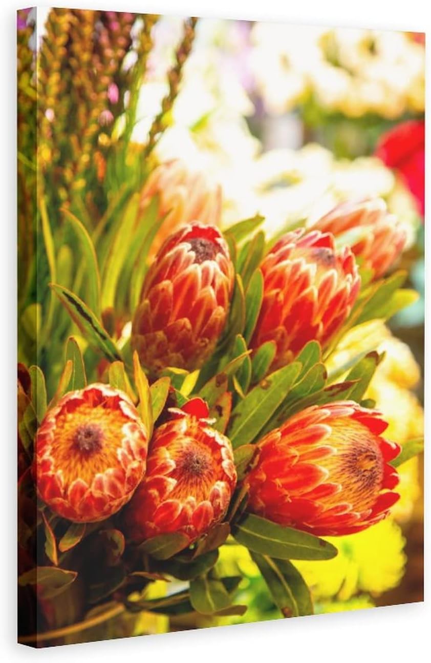 Red Protea Flower Bud Bouquet Canvas Poster Bedroom Decor Sports Landscape Office Room Decor Gift,Canvas Poster Wall Art Decor Print Picture Paintings for Living Room Bedroom Decoration 8x12inchs(20x3 8x12inchs(20x30cm)