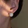 Docenin™Double-Sided Sparkling Crystal Ball Earrings