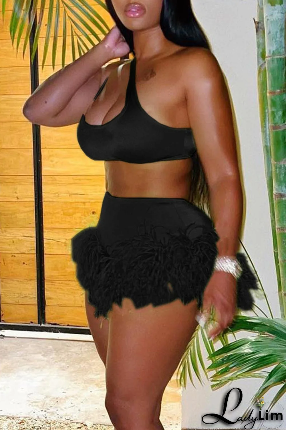 Black Sexy Solid Patchwork Feathers U Neck Two Pieces