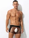 Men's Sexy Ultra-Thin Ice Silk Mesh-Panelled Transparent Boxer Briefs