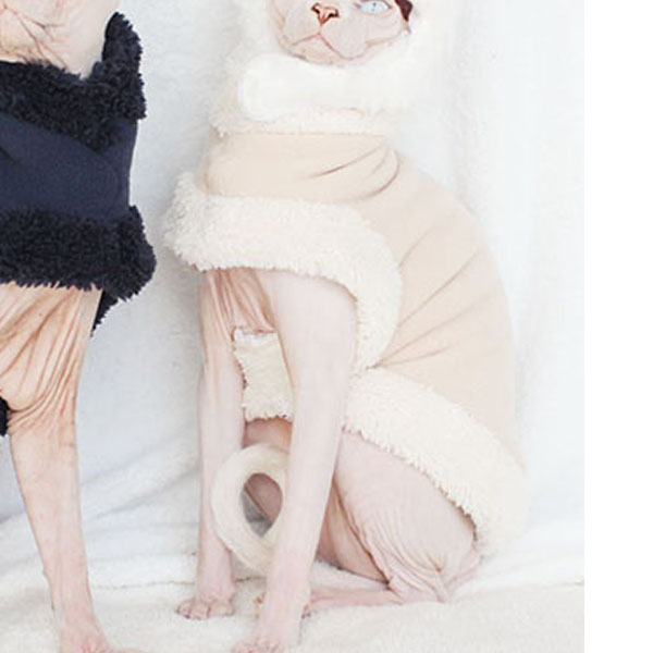 Light Gray Sphynx Cat Clothes Autumn and Winter Lamb Plus Velvet Thickened