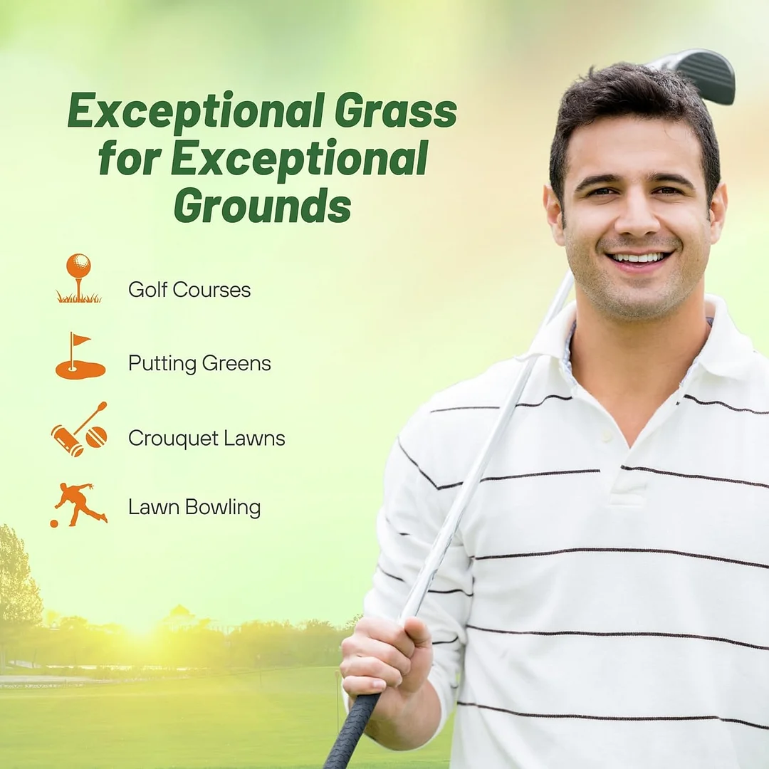 PC2.0 (Penncross) Creeping Bent Grass