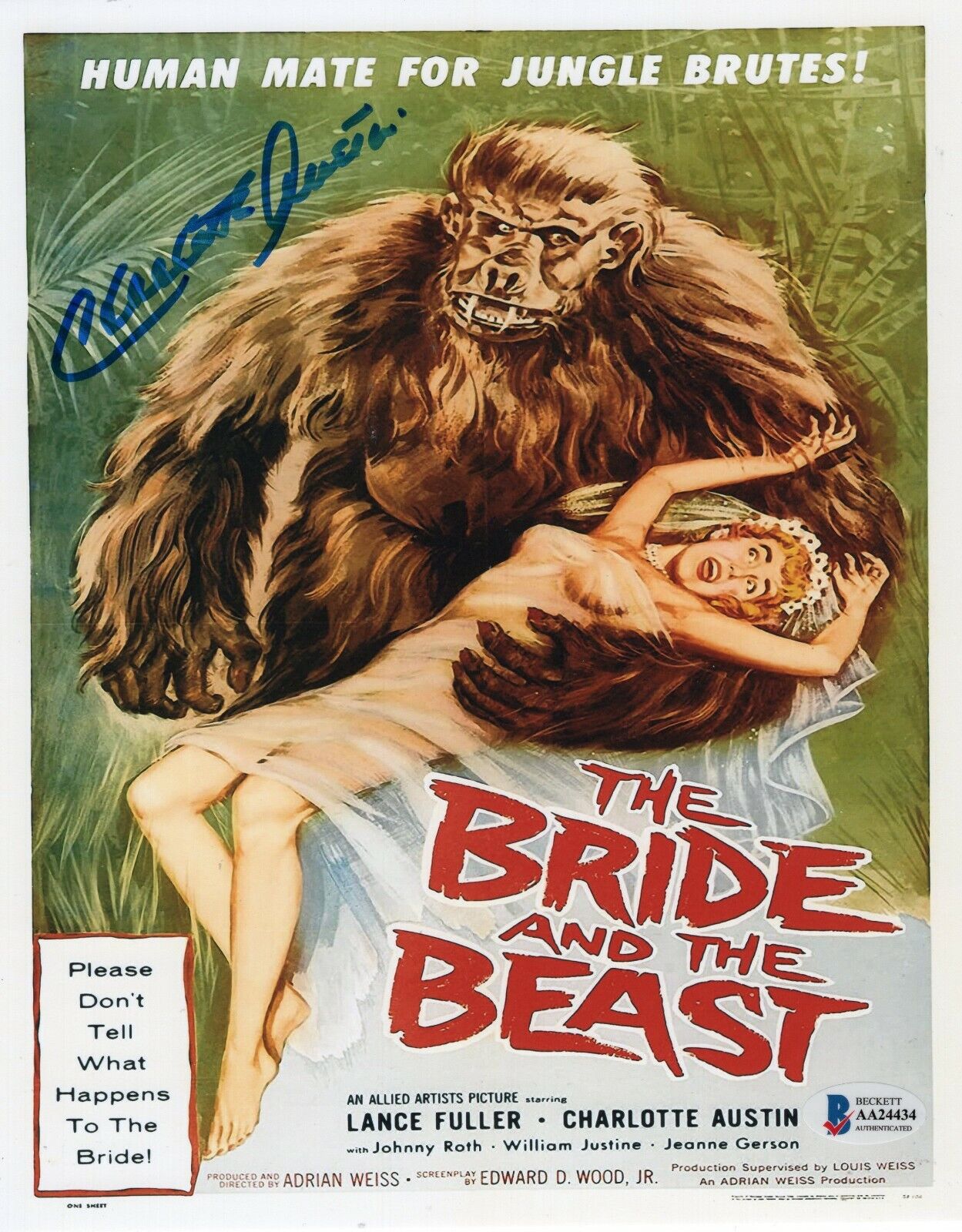 Charlotte Austin Bride and The Beast Signed 8x10 Photo Poster painting w/Beckett COA AA24434 BAS