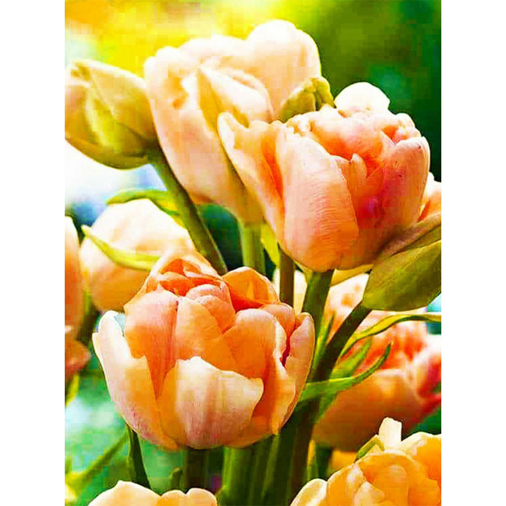 

Orange Tulip - Square Drill Diamond Painting - 30*40CM, 501 Original