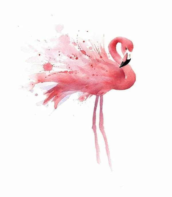 Flamingo Paint By Numbers Kits VM97934