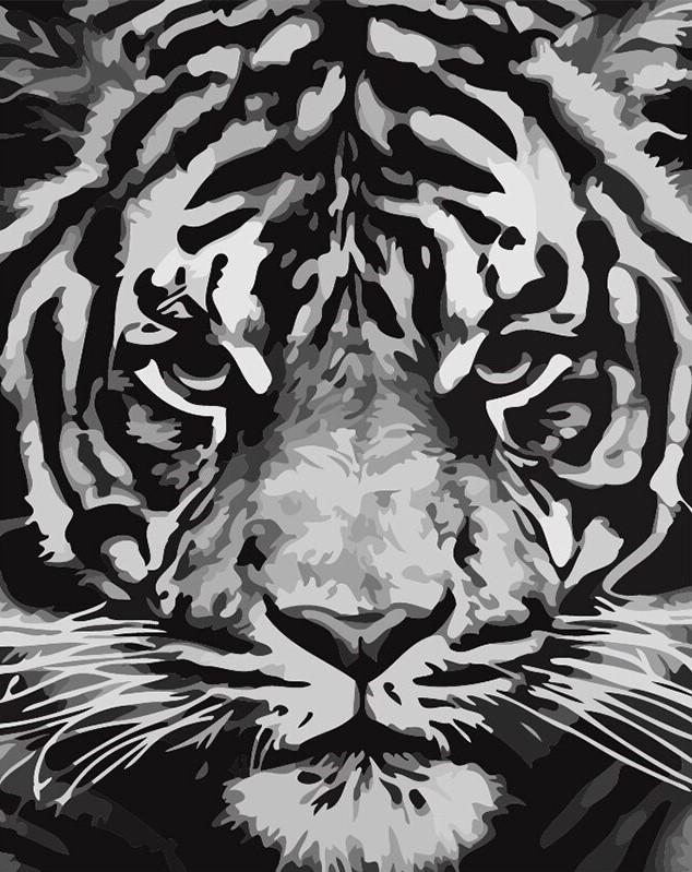 

Tiger In black and White – Paint By Numbers - 40*50CM, 501 Original
