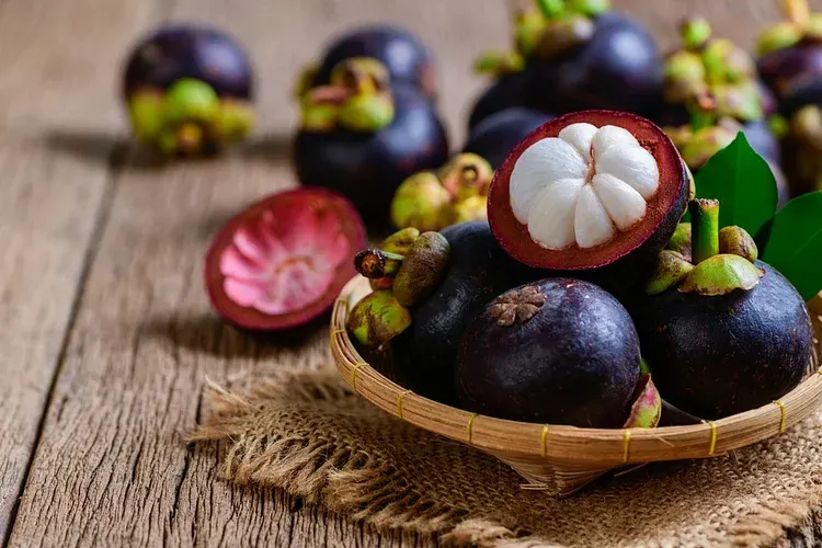 ✨Mangosteen – High yield, sweet and juicy flesh! ✨