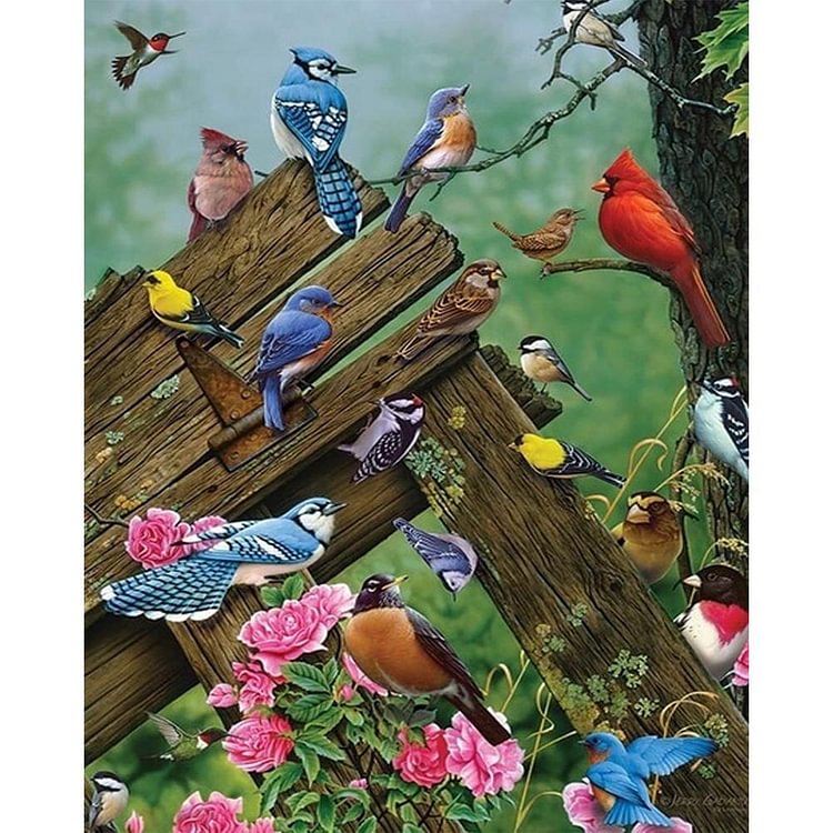 Peinture par numéro - Peinture à l’huile - Oiseaux au repos (40 à 50 cm)