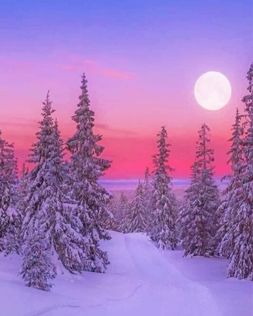 

Winter Landscape – Paint By Numbers - 40*50CM, 501 Original