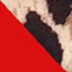 INGAGA Sexy Micro Bikini Leopard Swimsuits Patchwork Swimwear Women 2022 New Halter Bathing Suit High Cut Biquinis Set Beachwear