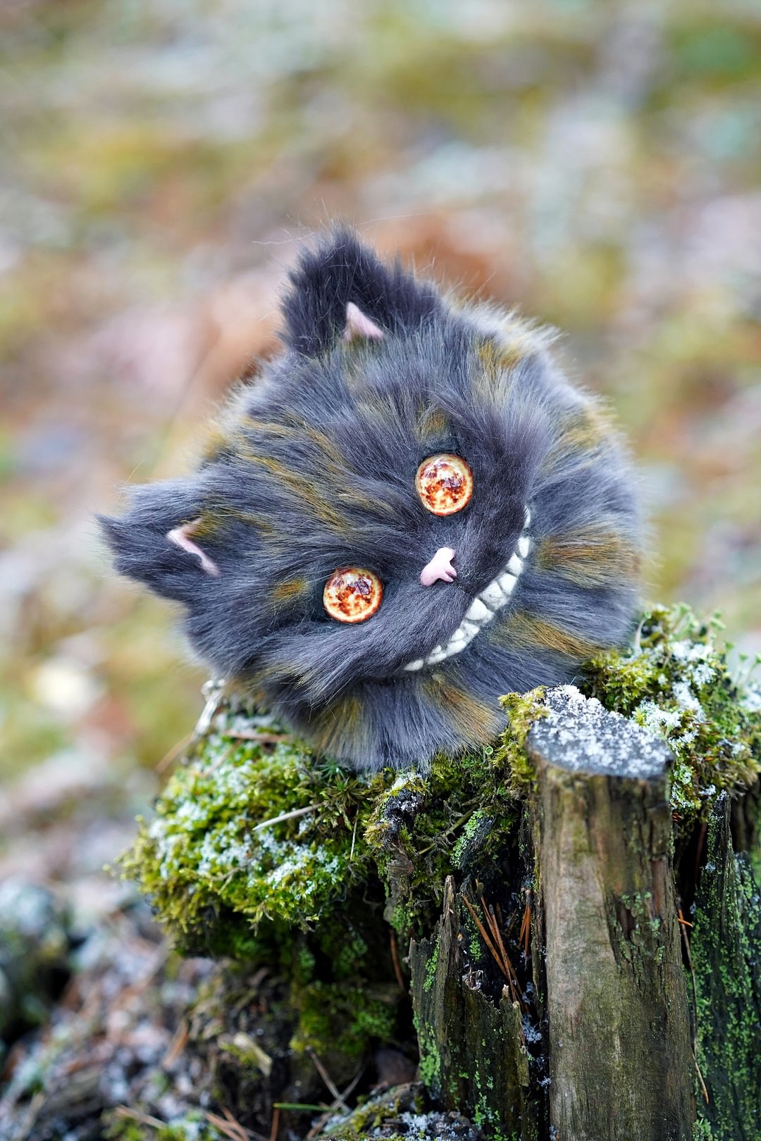 Cheshire head