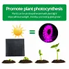 5M Flower Plant Phyto Growth Lamp 2835 SMD for Plants Hydroponics Growing System
