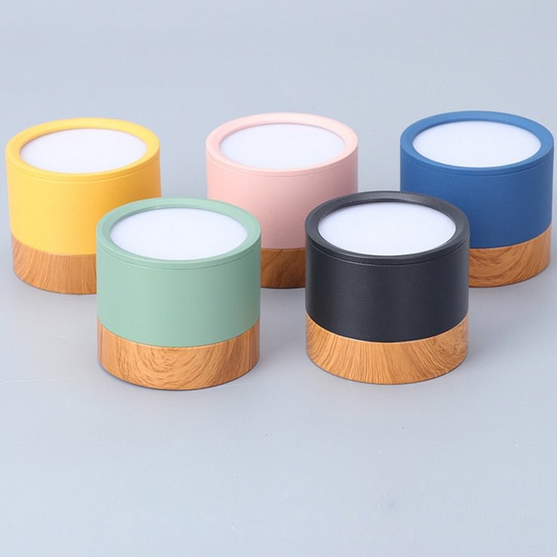 LED Ceiling Lights For Bedroom  Surface Mounted Modern Ceiling Lamp Living Room Bedroom Porch Modern House Lighting Fixture