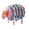 Kits de dessous de verre &agrave; motif animal 5d bricolage avec support pour la maison