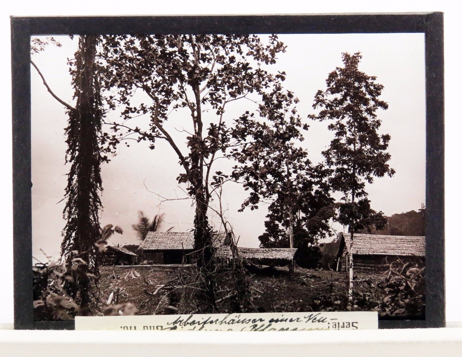 Glass Negative New Guinea Neumecklenburg Afrika Kolonie Foto Glas Dia (N-113