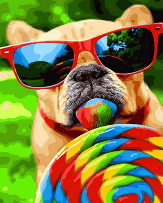 

Dog With Lollipop – Paint By Numbers - 40*50CM, 501 Original