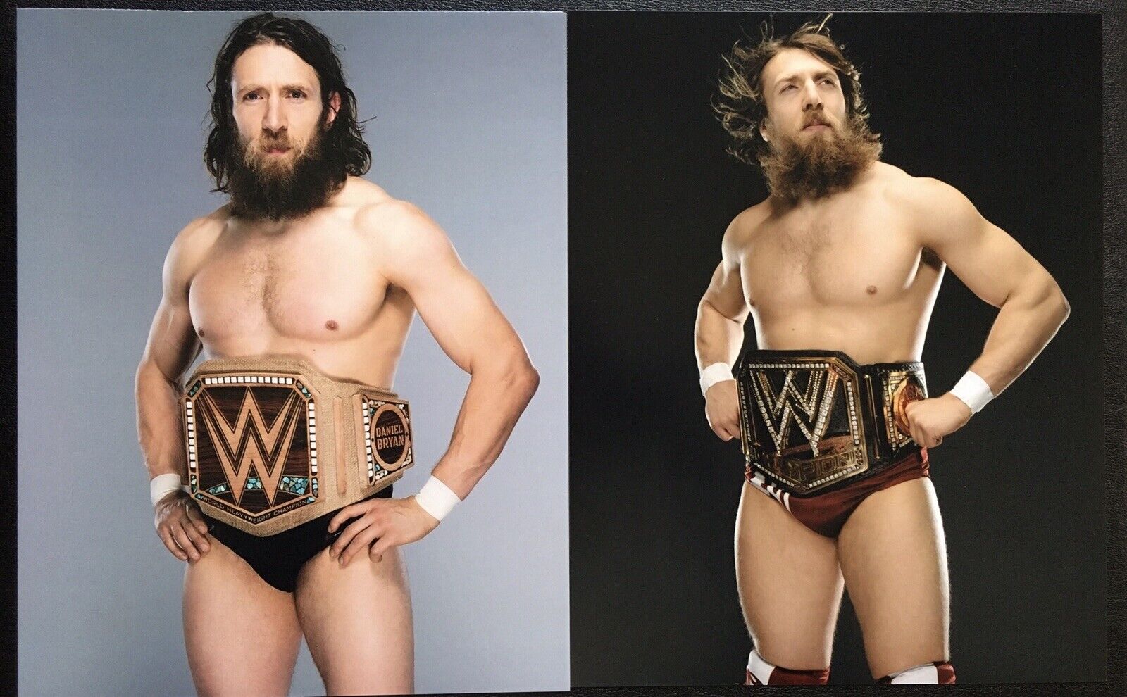 WWE DANIEL BRYAN 8X10 : 2 prints Photo Poster paintinggraph nxt wrestling