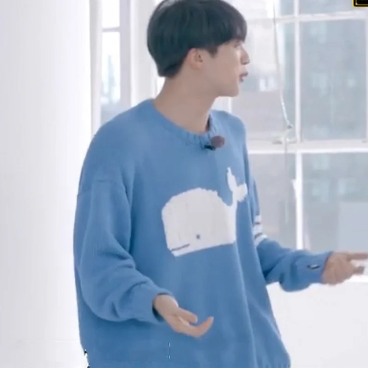 방탄소년단 JIN Blue and White Whale Knitted Sweater