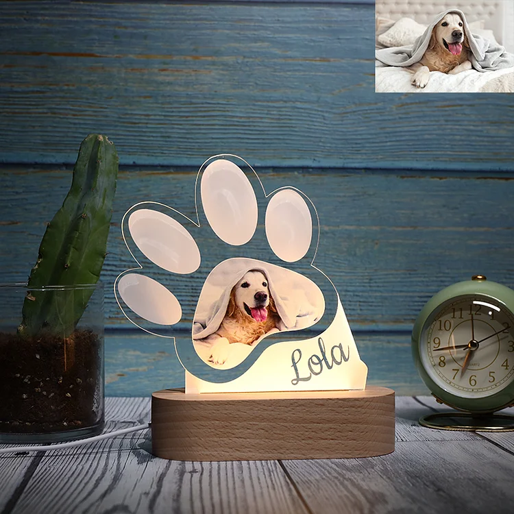 Personalized Paw Print Photo Night Light Custom Name 3D Lamp