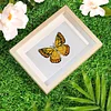 12pcs Butterfly 5D DIY Square Drill Diamond Painting Kits for Adults Beginners Home Decor Diamonds Paintings Gem Art 5.91x7.09in